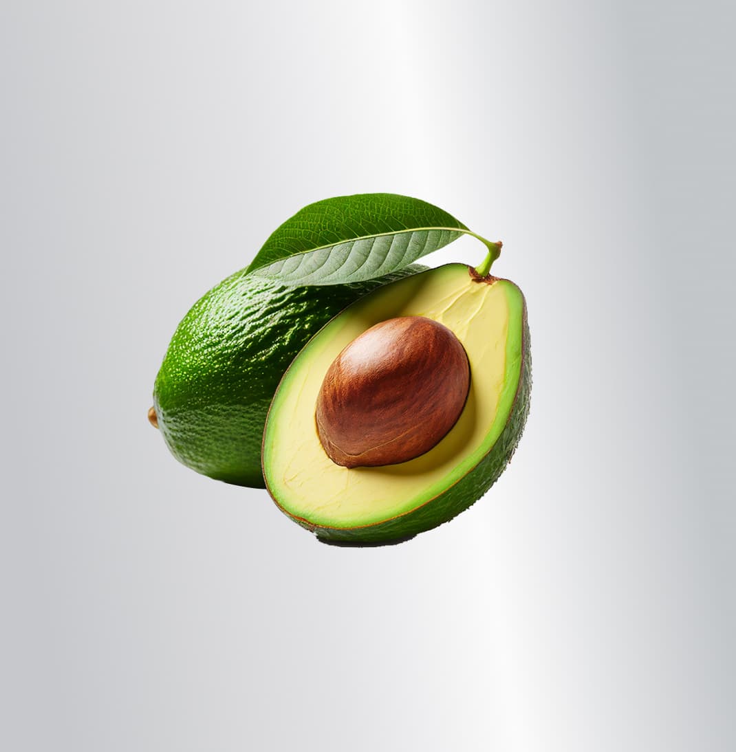 AVOCADO